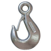 DIN689 Eye Hook With Latch