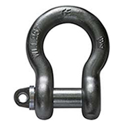 BS3032 Bow Shackle