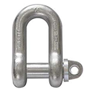 BS3032 Dee Shackle